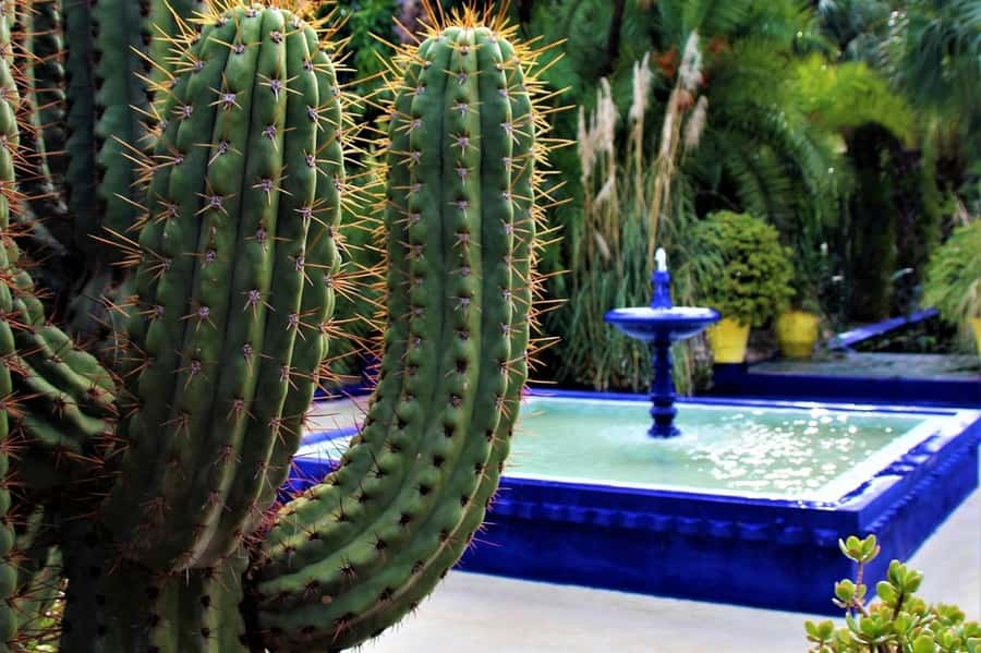 Marrakech: Majorelle Garden, YSL, and Berber Museum Entry - Yves Saint Laurent Museum: fashion with Marrakech in the background