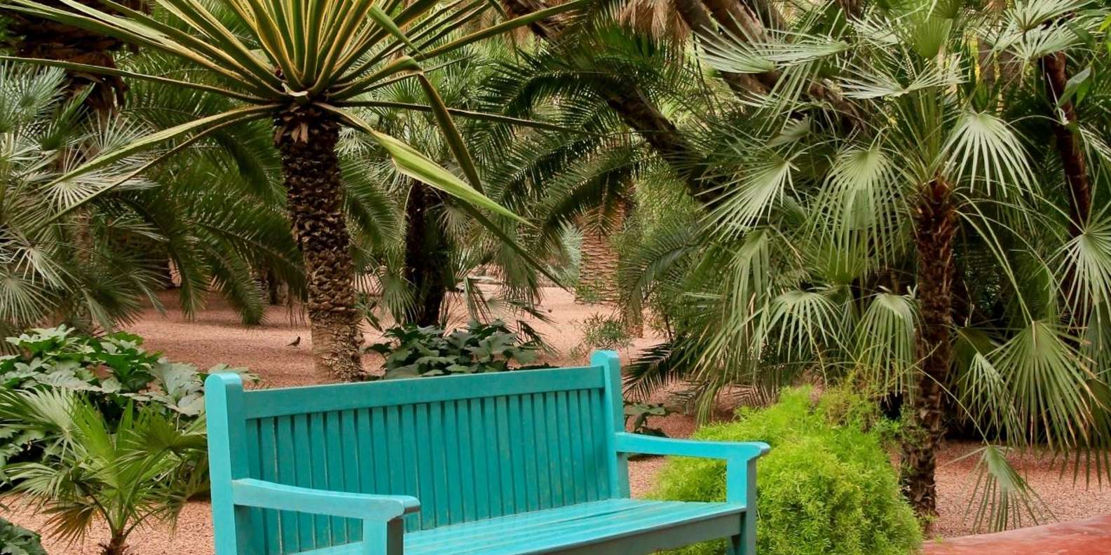 Marrakech: Majorelle Garden, YSL, and Berber Museum Entry - Pierre Bergé Museum of Berber Arts: craft, clothing, and everyday design