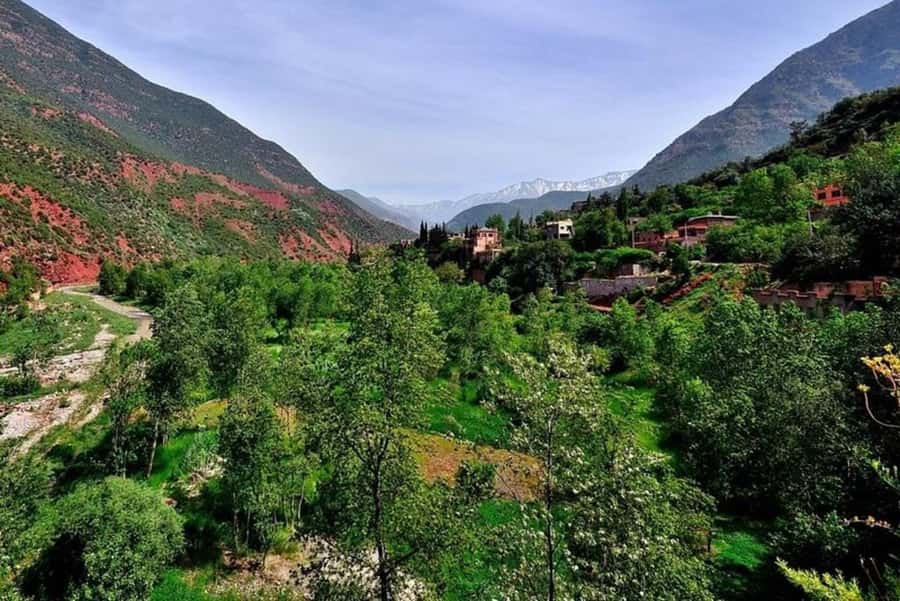 Marrakech: ourika valley lunch & guided hike to waterfalls - Afternoon free time: tea, village moments, and the slow return