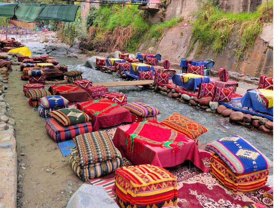 Marrakech: Ourika Valley & Waterfalls Guided Tour with Lunch - Riversides Lunch by the Ourika River: The Meal That Lands Well