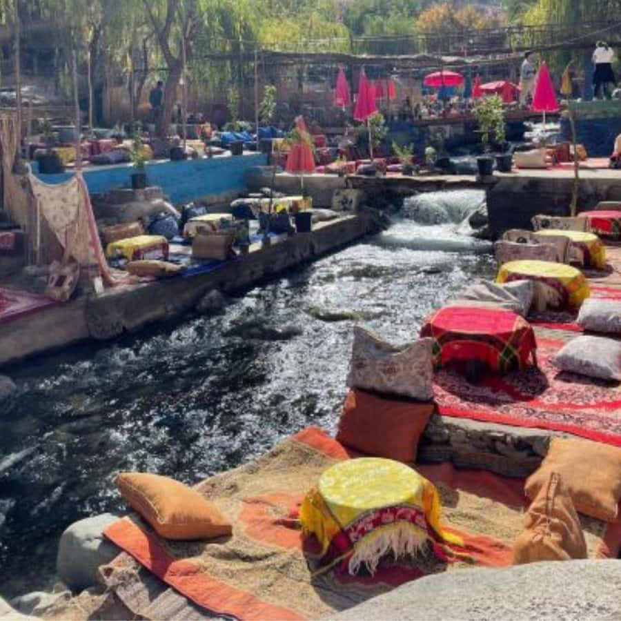 Marrakech: Ourika Valley & Waterfalls Guided Tour with Lunch - Who Should Book This Ourika Day Trip—and Who Should Skip It