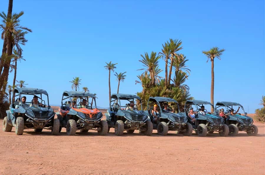 Marrakech: Palm Grove and Desert Buggy excursion - Price and value: is $45 per person a good deal?