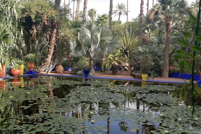 Marrakech: Private Guided Half-Day City Tour - Mellah and Jemaa el-Fnaa: Local Neighborhood Feel in a Short Window