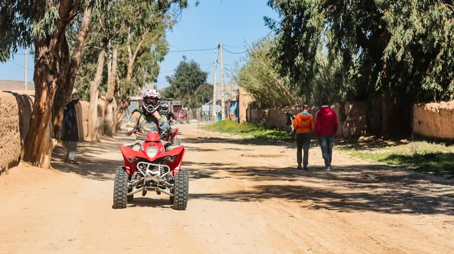 Marrakech Quad Bike Experience: Desert and Palmeraie - Key things you’ll notice on this quad bike trip