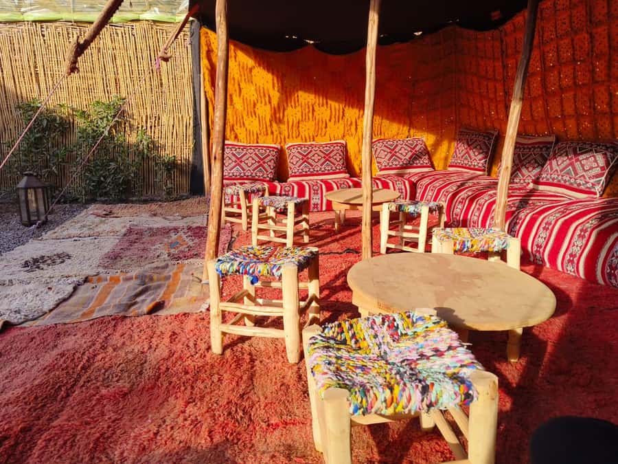Marrakech: Quad Bike Tour to Palm Oasis and Jbilat Desert - The 2-hour quad ride: palm groves first, then desert-style tracks