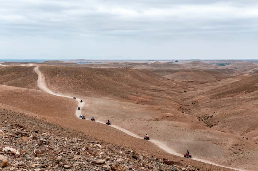 Marrakech: Quad Tour in Jbilets Desert with Palm Grove - Palms stop and the photo break: where the tour turns scenic
