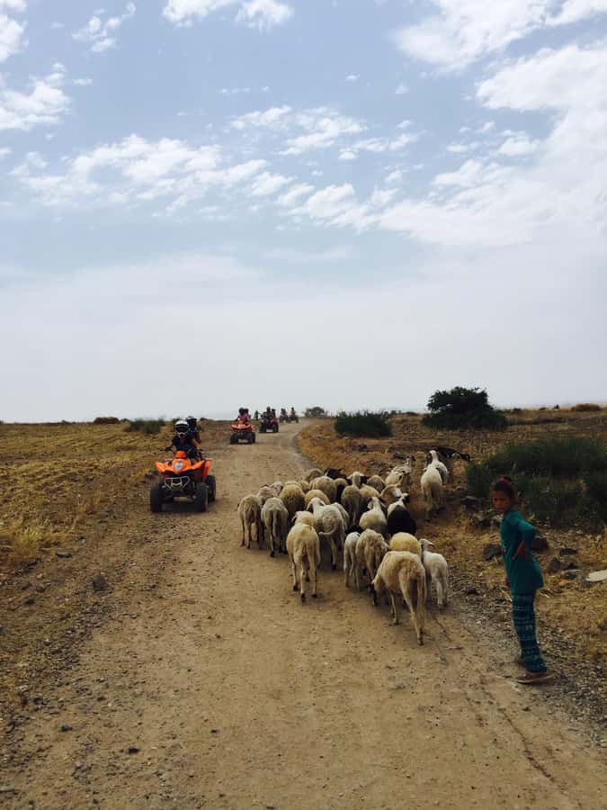 Marrakech: Quad Tour in Jbilets Desert with Palm Grove - Quads, sharing, and the €10 solo-quad question