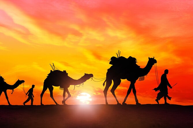 Marrakech to Merzouga Desert 3-Day via the High Atlas Mountains - Logistics That Can Make or Break Your Day