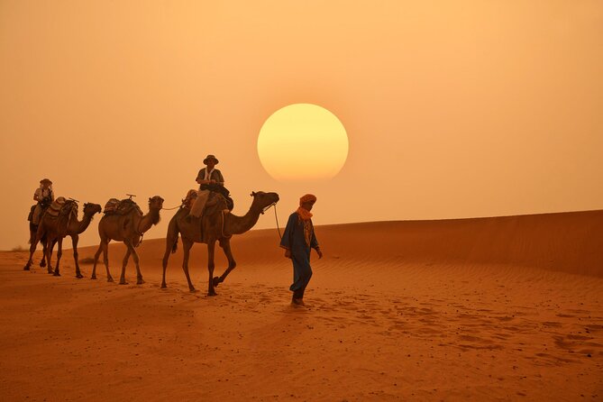 Marrakech to Merzouga Desert 3-Day via the High Atlas Mountains - Who This Tour Fits Best
