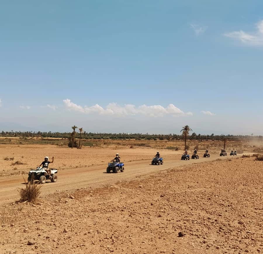 Marrakech:excursion quad in Oasis palm & jbilat desert,tea - Palmeraie to Jbilat: why this quad and buggy route feels different