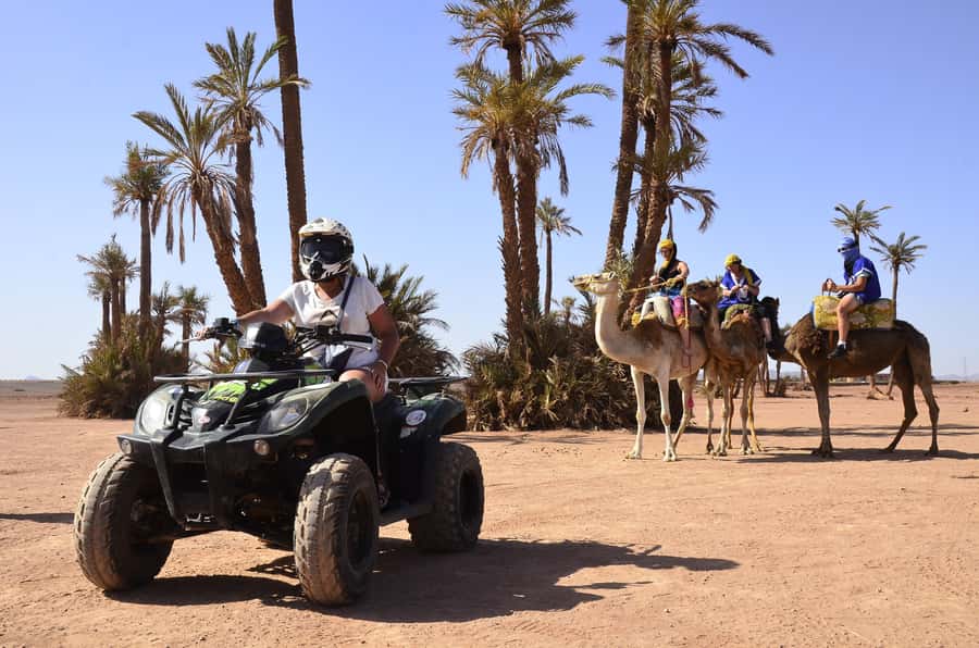 Marrakech:excursion quad in Oasis palm & jbilat desert,tea - Price and logistics: what $14 really means in Marrakech