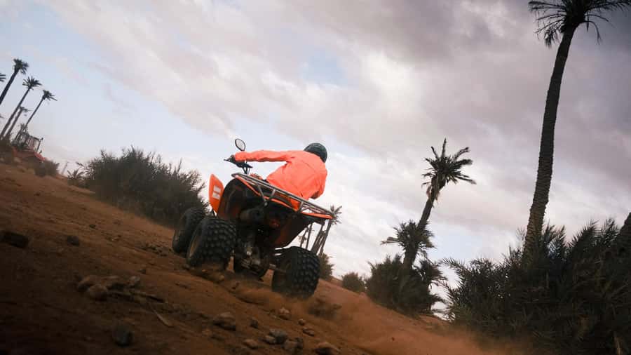 Marrakech:excursion quad in Oasis palm & jbilat desert,tea - Comfort, safety, and who should skip this