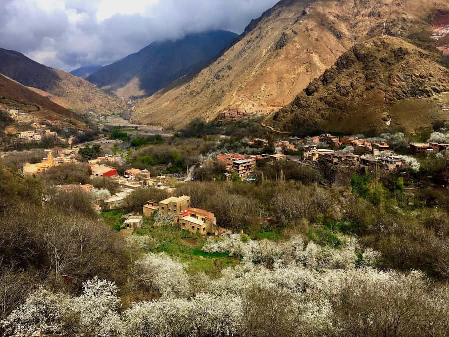 Marrakesh: Desert & Mountain Tour with Camel Ride & Lunch - Ait Souka Lunch in a Traditional Berber House (Food You’ll Remember)