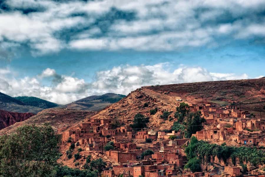 Marrakesh: Desert & Mountain Tour with Camel Ride & Lunch - Guides, Drivers, and the Safety Feeling You Want on a Day Trip