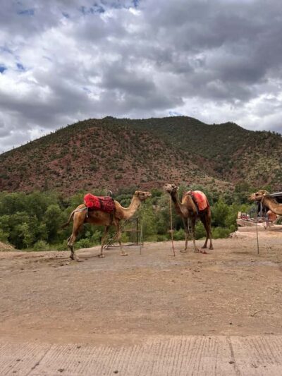 Marrakesh: Ourika Valley & Atlas Mountains, Day Trip + Lunch - Tnin Ourika and the valley first look: arriving at the calm