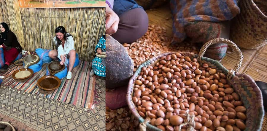 Marrakesh: Ourika Waterfalls, Atlas Mountains, Guide + Lunch - Best for: who this day trip suits