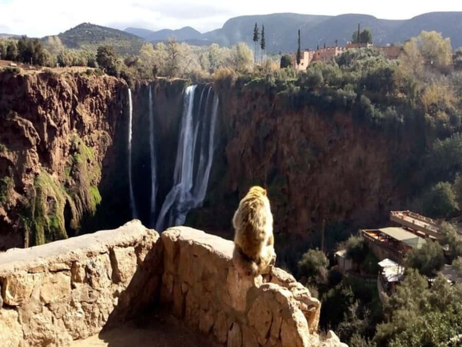 Marrakesh: Ouzoud Waterfalls Trip with Hike & Boat Option - Should You Book It?
