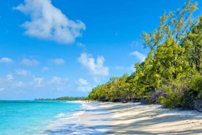 Mauritius: Ile Aux Cerfs Catamaran Trip w/ Lunch & Transfer - Boarding the 42 ft catamaran: comfort, views, and a crew that keeps the mood light