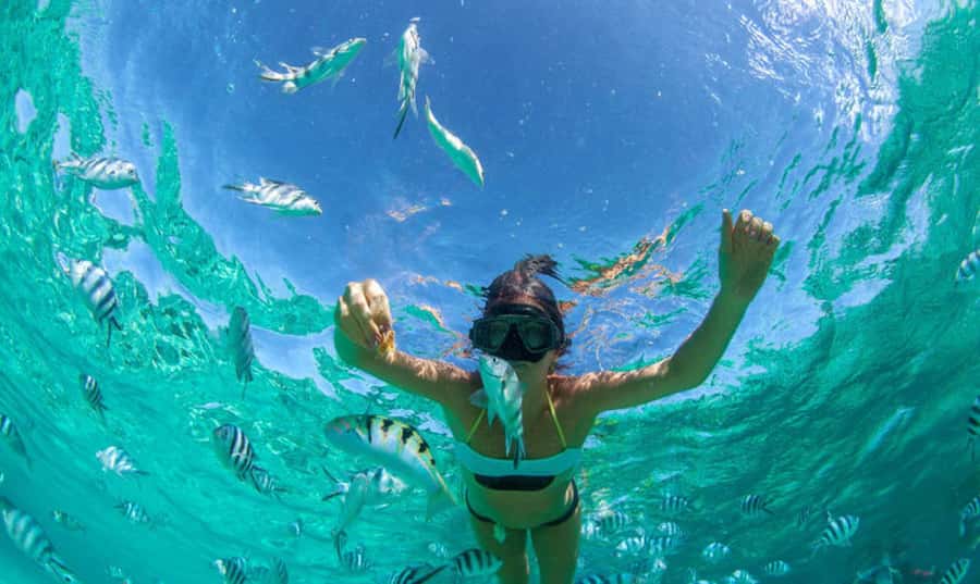Mauritius: Ile Aux Cerfs Catamaran Trip w/ Lunch & Transfer - Price and value at about $110 per person