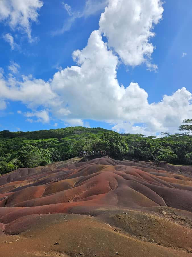 Mauritius: Private Southwest Chamarel Highlights Tour - Black River Gorges National Park: Monkeys and Paille en Queue Bird Watching