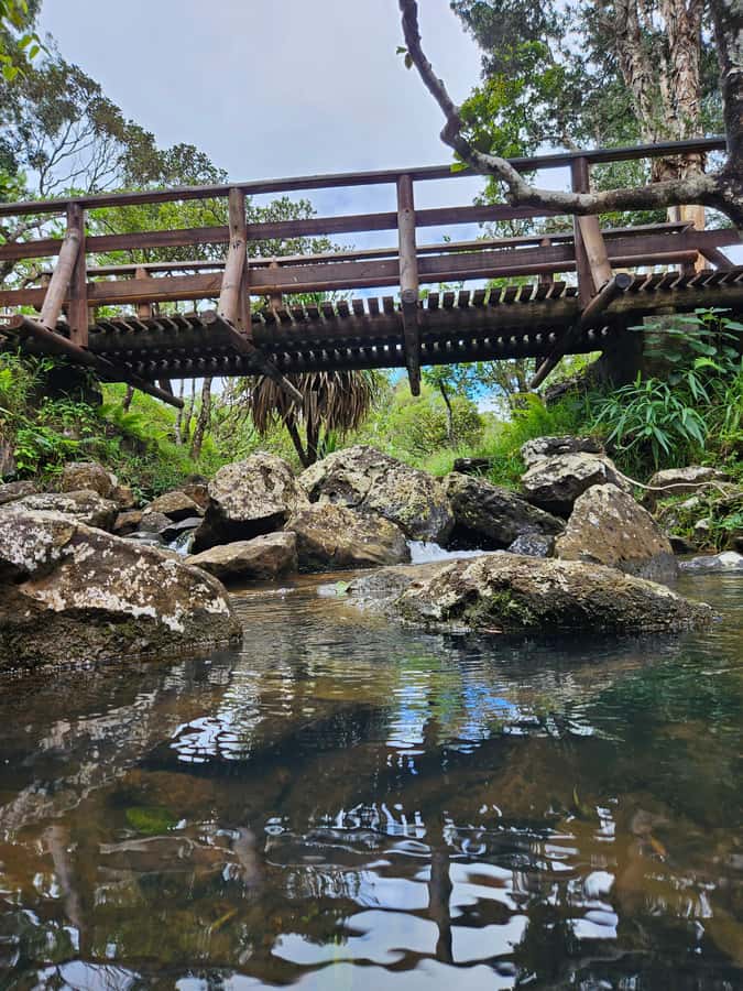 Mauritius: Private Southwest Chamarel Highlights Tour - What You’re Really Buying for $127 (Up to 4 People)