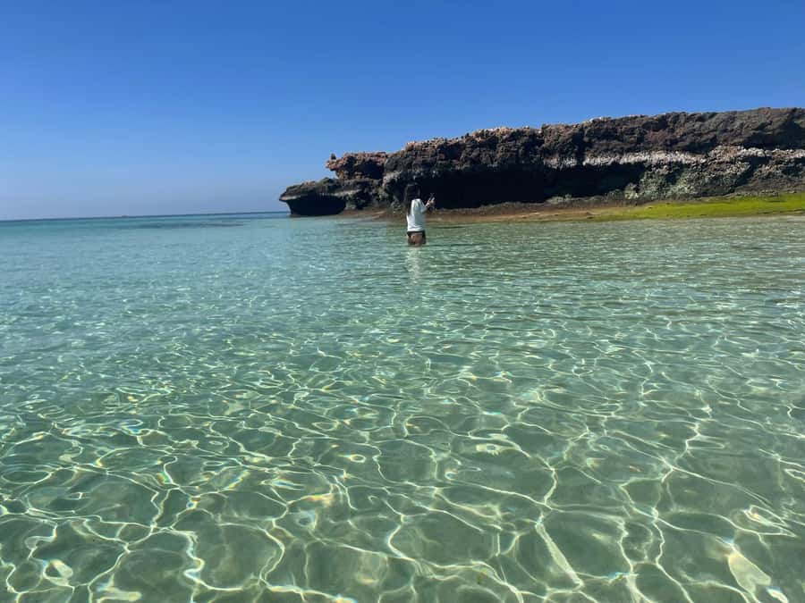 Muscat: Daymaniat Islands Snorkeling Trip with Brunch - Daymaniyat Islands: The Real Hook Is Protected Wildlife