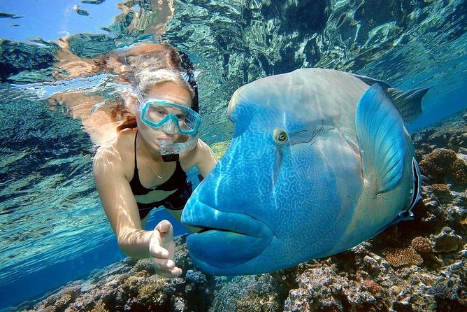 Orange Bay Island Snorkeling Trip With Water Sports - Hurghada - Possible Snags: What Can Affect Your Day
