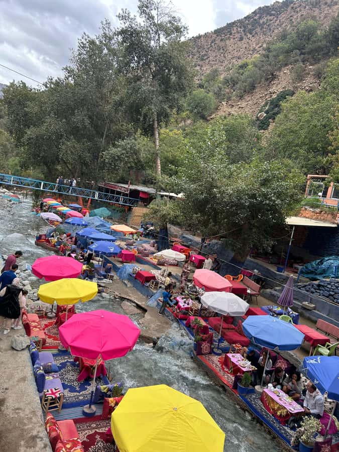 Ourika Valley Day Trip from Marrakech with Guide & Lunch - Argan oil co-operative and the aromatic plants stop
