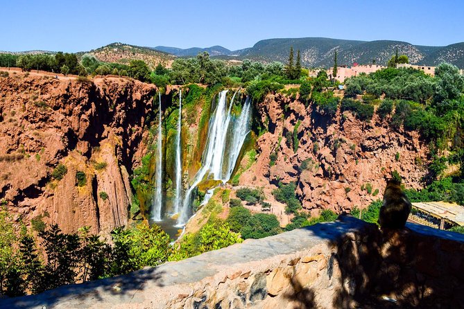 Ouzoud Waterfalls Guided Hike and Boat Trip from Marrakech - Boat ride near the bottom: the part that changes the whole perspective