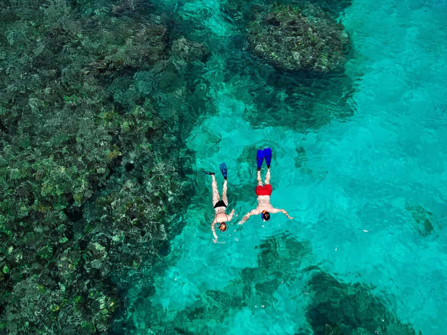 Praslin: Curieuse & St. Pierre Full-Day Boat Trip with Lunch - St. Pierre Island Snorkeling: Reef Fish, Clear Stops, Easy Gear