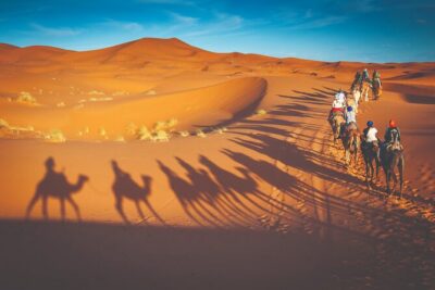 Premium Desert Safari with BBQ Dinner - Dubai - The sunset over the dunes: your best photo moment (and your best mood)