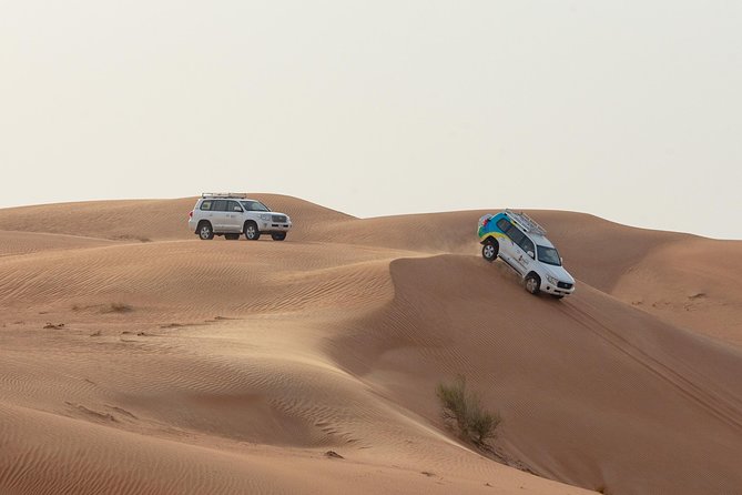 Premium Dubai Desert Safari with BBQ Dinner in the Red Dunes - The red dunes part: how dune bashing works in real life