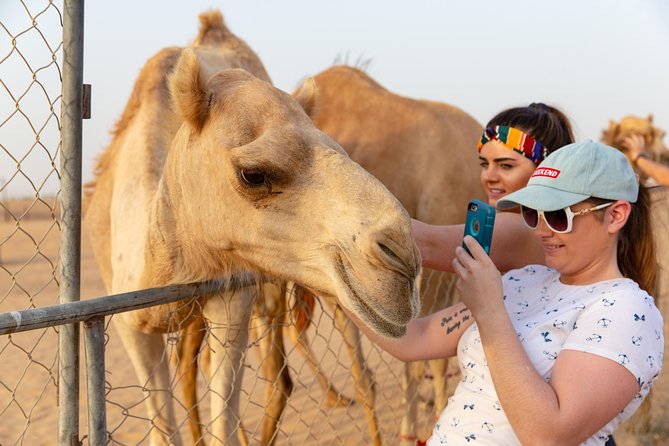 Premium Dubai Desert Safari with BBQ Dinner in the Red Dunes - Exclusive upgrade: private table and sparkling wine (when allowed)