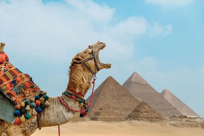 Private ViP all-inclusive Giza Pyramids,Sphinx,Inside Pyramid - Stop 2: Great Pyramid of Cheops (Khufu) and the inside-your-ticket reality