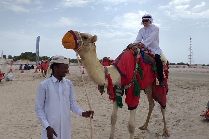Qatar Gold Dune Safari, Dune Bashing,Camel Ride,Sand Boarding,Inland Sea Desert - Guides, Timing, and the Small-Group Feel That Changes Everything