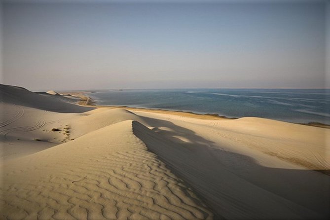 Qatar Gold Dune Safari, Dune Bashing,Camel Ride,Sand Boarding,Inland Sea Desert - Who Should Book This Safari, and Who Might Skip It