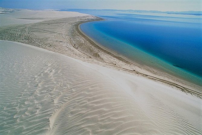 Qatar Gold Dune Safari, Dune Bashing,Camel Ride,Sand Boarding,Inland Sea Desert - Dune Bashing and Sandboarding: Adrenaline With a Safety Backbone