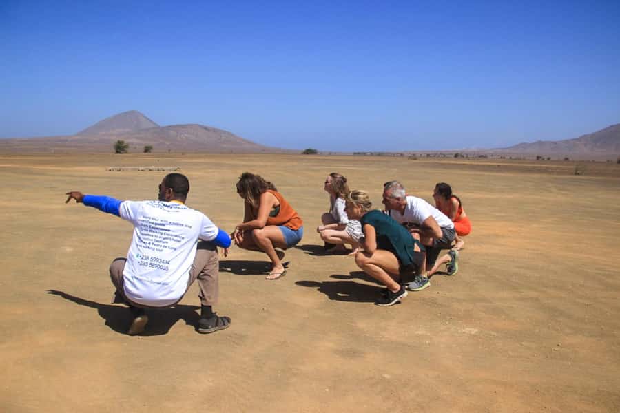 Sal: Island Experience Tour with a Certified Local Guide - A $41 full-day circuit: why it feels like good value on Sal