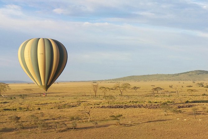 Serengeti Balloon Safari and authentic bush breakfast - Why a sunrise balloon over Serengeti feels worth the early alarm