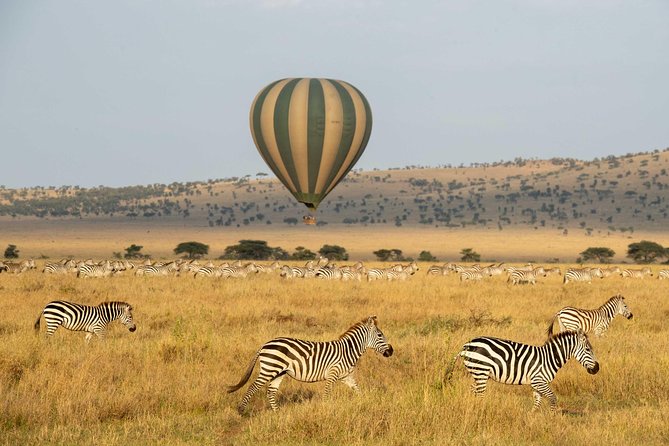 Serengeti Balloon Safari and authentic bush breakfast - Bush breakfast under an acacia: the detail you’ll still think about