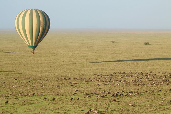 Serengeti Balloon Safari and authentic bush breakfast - Price and value: is $550 fair for a balloon morning?