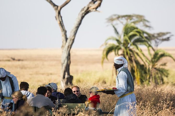 Serengeti Balloon Safari and authentic bush breakfast - Who this is best for (and who should reconsider)
