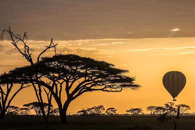 Serengeti Balloon Safari and authentic bush breakfast - Choosing the right Serengeti zone: Kogatende, Ndutu, Seronera, and Grumeti