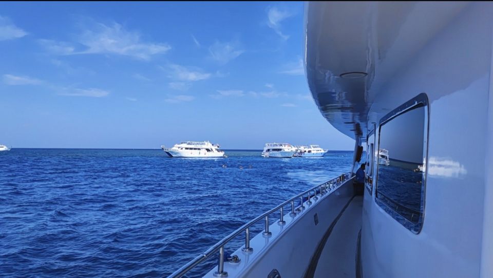 Sharm El-Sheikh: Luxury Ras Mohammed & White Island Cruise - Snorkeling gear, guides, and the safety rhythm
