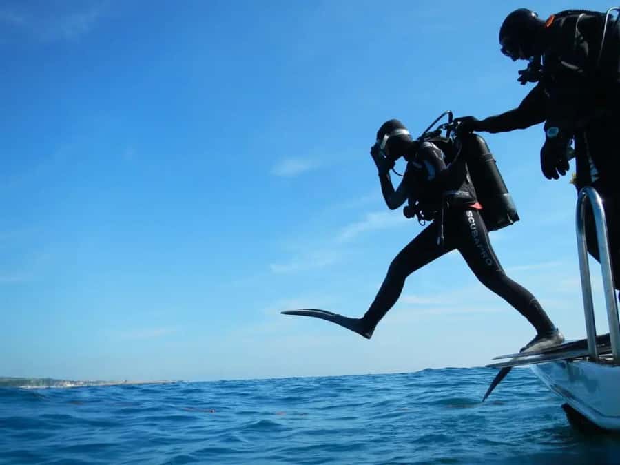 Sharm El Sheikh: Ras Mohamed & White Island Dive & Snorkel - Key highlights at a glance