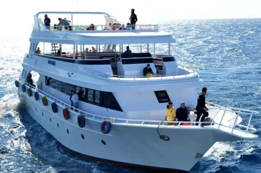 Sharm El Sheikh: Ras Mohamed & White Island Dive & Snorkel - Why Ras Mohamed and White Island makes sense as a Sharm El Sheikh day
