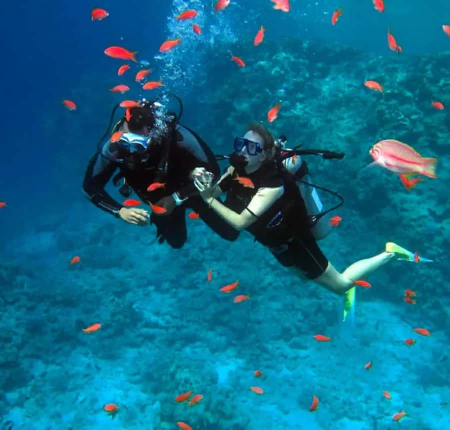 Sharm El Sheikh: Ras Mohamed & White Island Dive & Snorkel - The VIP yacht experience: space, comfort, and onboard safety