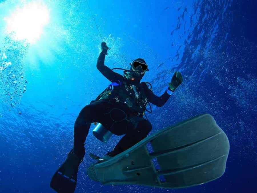 Sharm El Sheikh: Ras Mohamed & White Island Dive & Snorkel - White Island: the sandbank stop that feels like a different world