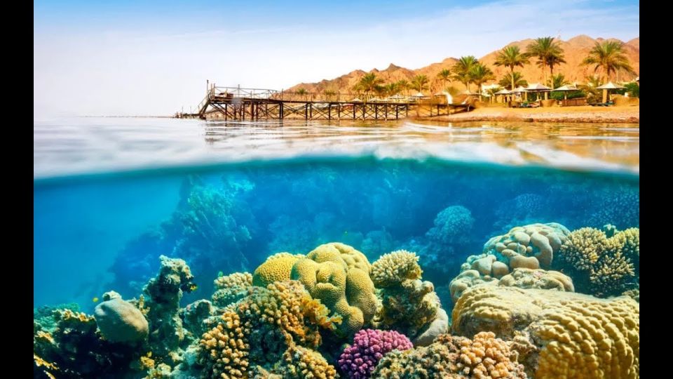 Sharm El-Sheikh: Ras Mohamed & White Island Snorkeling Trip - Downsides to keep expectations realistic