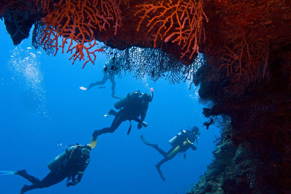 Sharm El-Sheikh: Ras Mohamed & White Island Snorkeling Trip - Getting value from a $25 price tag